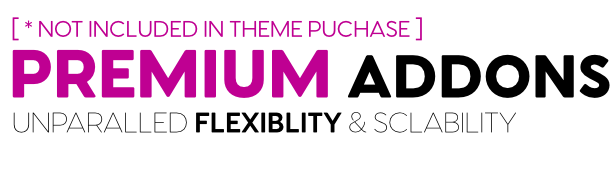 Premium addons in theme